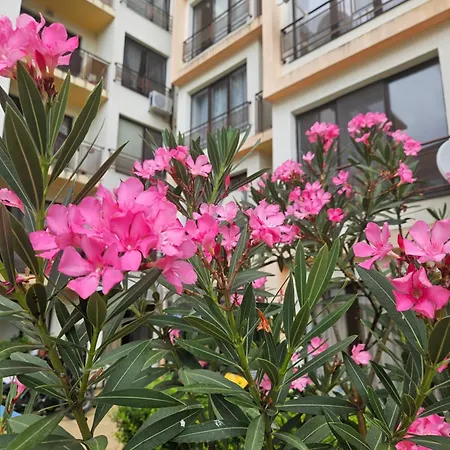 Sannybeach Amberbeach Bulgaria A14-1 * Слънчев бряг